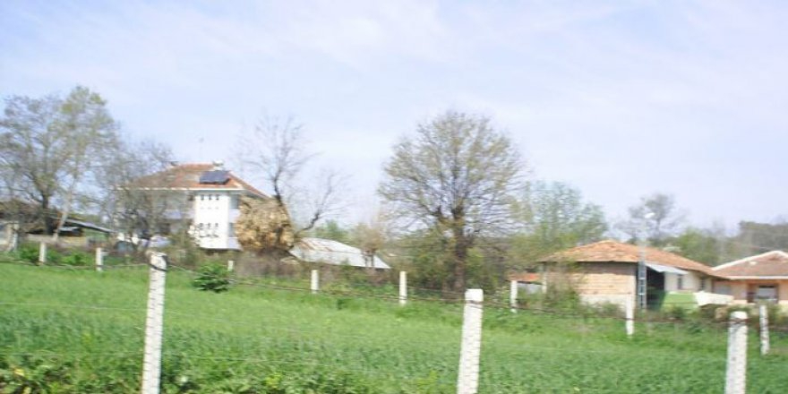 Alaçam Yukarısoğukçam Köyü Resimleri 4