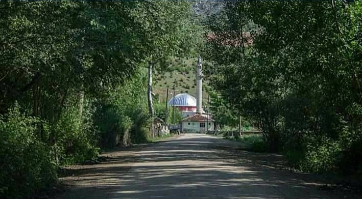 Turhal Kayaören Köyü Resimleri 2