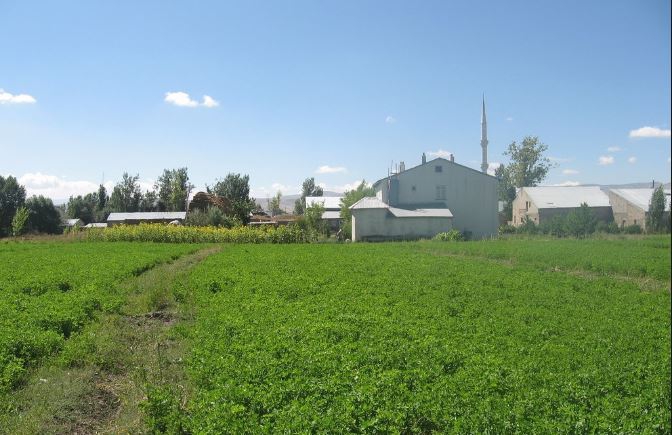 Aziziye Alaybeyi Köyü Resimleri 3