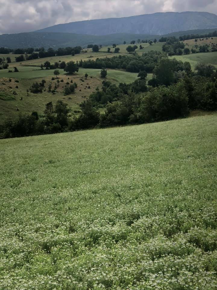 Turhal Uluöz Köyü Resimleri 1