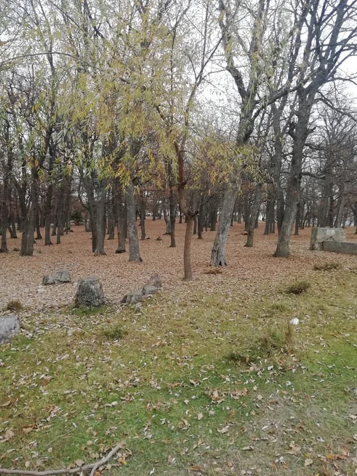 Turhal Üçyol Köyü Resimleri 3