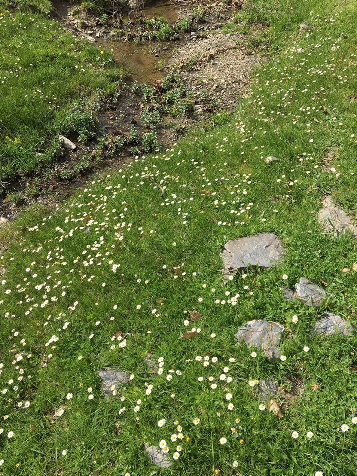 Turhal Üçyol Köyü Resimleri 9