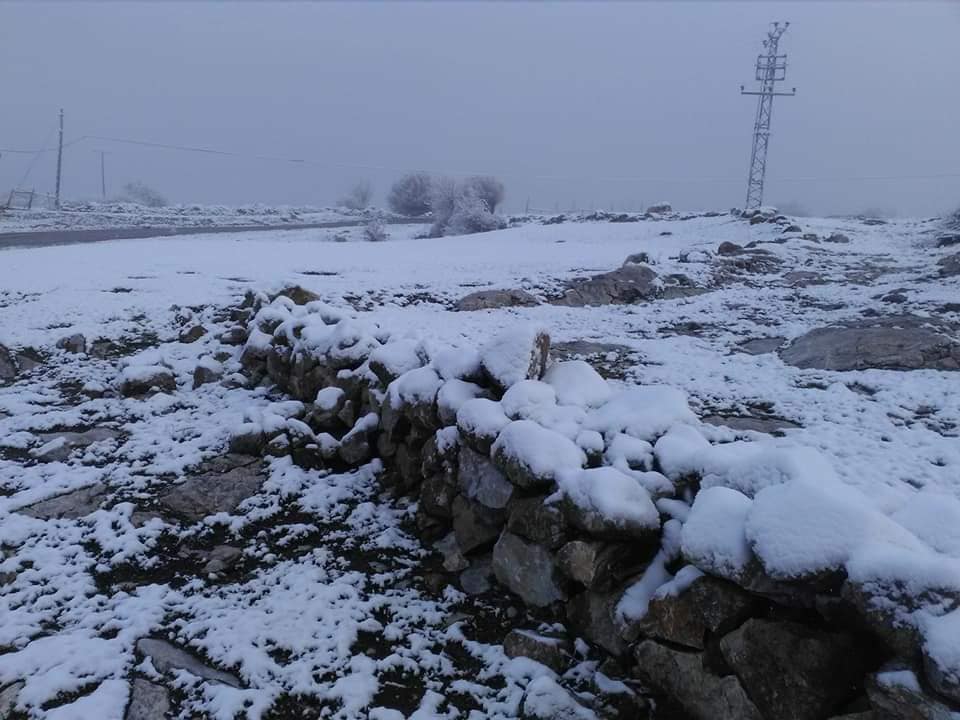 Turhal Yağlıalan Köyü Resimleri 3