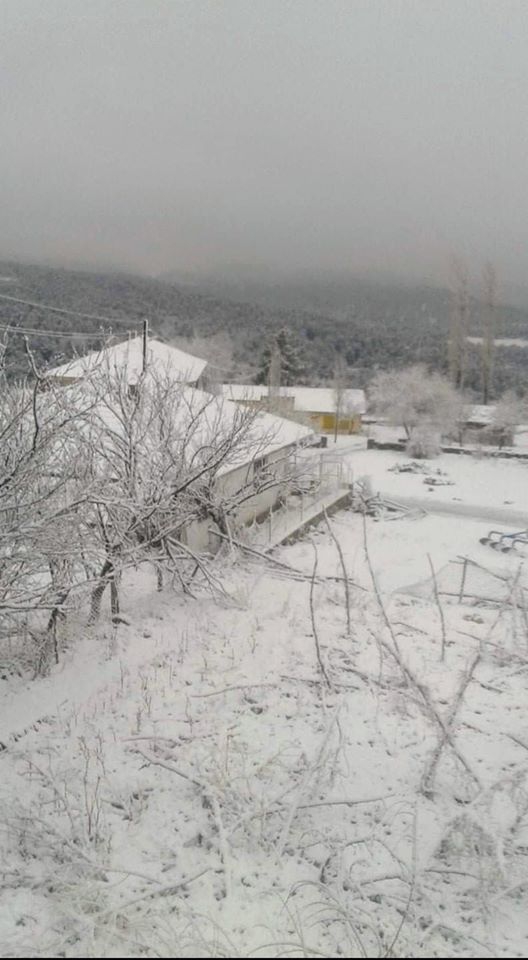 Turhal Yağlıalan Köyü Resimleri 8