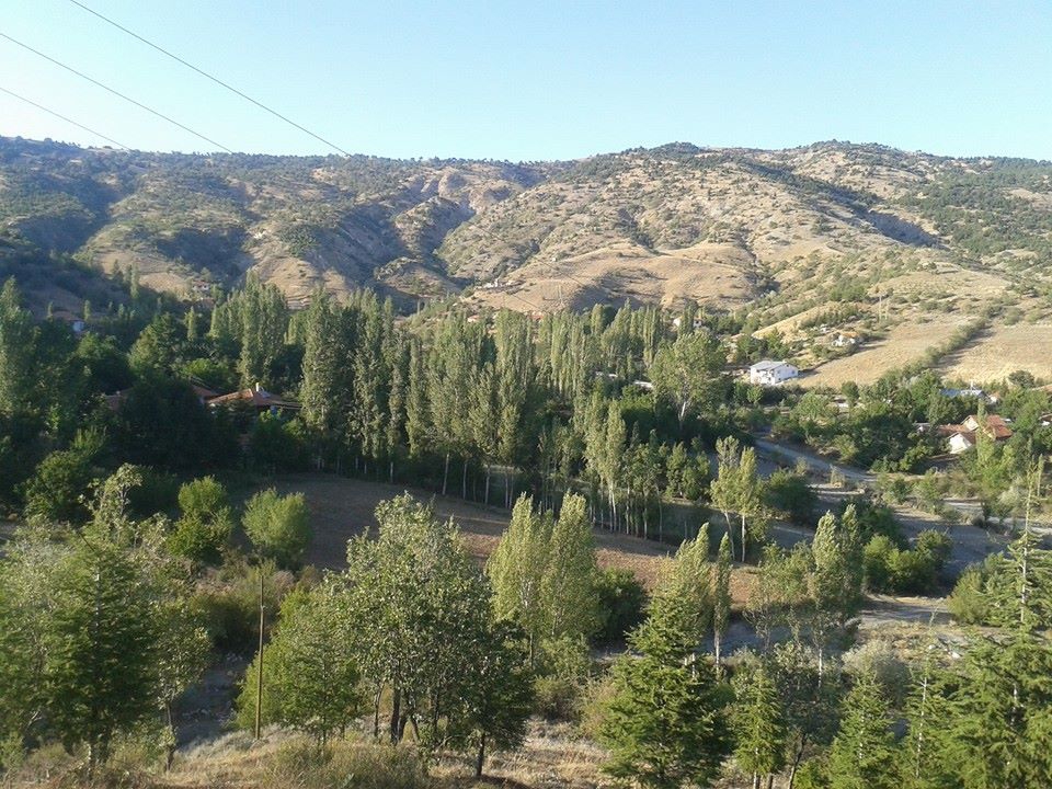 Turhal Yeniceler Köyü Resimleri 1