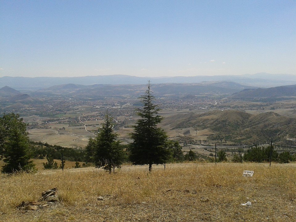 Turhal Yeniceler Köyü Resimleri 4