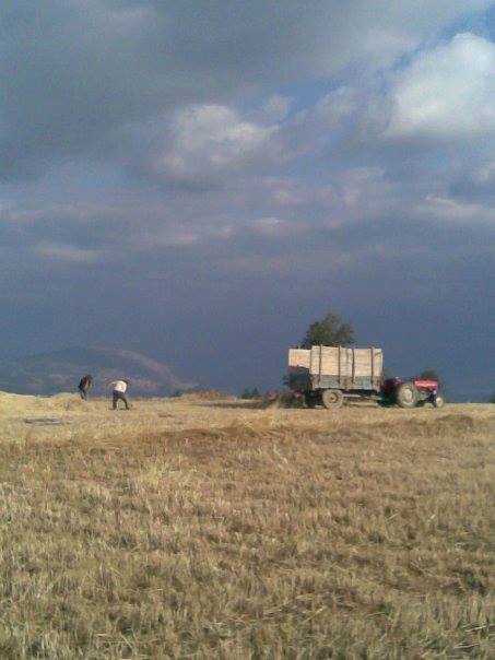 Turhal Yeniceler Köyü Resimleri 8