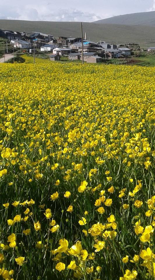 Aziziye Başovacık Köyü Resimleri 2