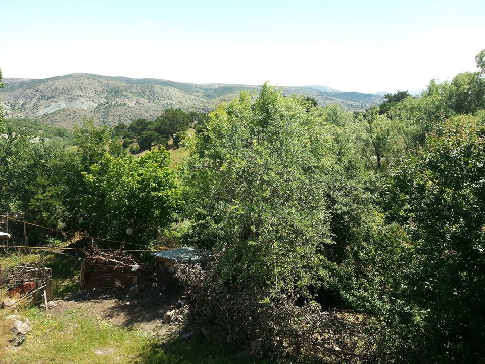 Yeşilyurt Karagözgöllüalan Köyü Resimleri 2