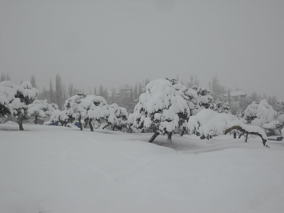 Yeşilyurt Karagözgöllüalan Köyü Resimleri 9