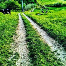 Kaynarca Güven Köyü Resimleri 2