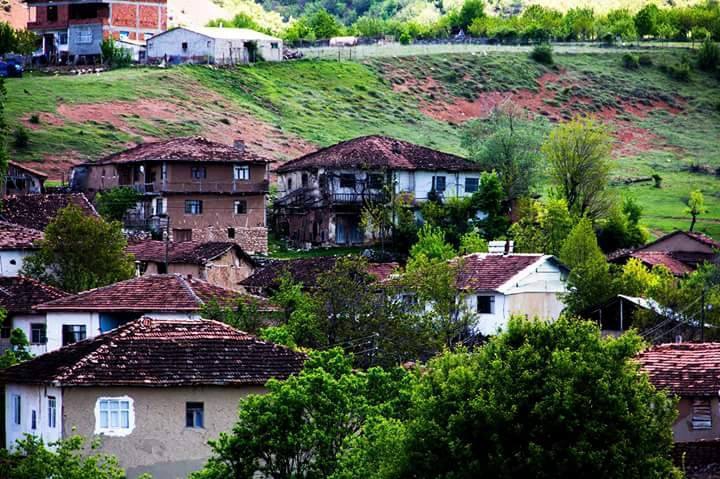 Zile Alıçözü Köyü Resimleri 1