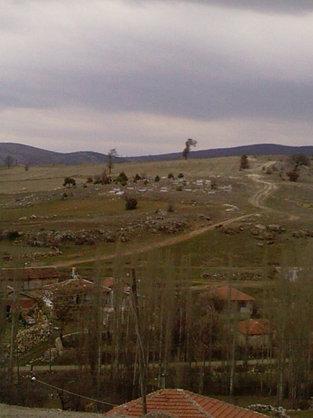 Zile Alibağı Köyü Resimleri 3