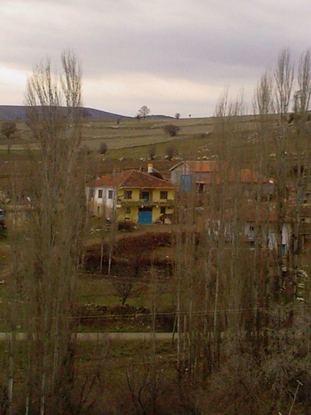 Zile Alibağı Köyü Resimleri 5