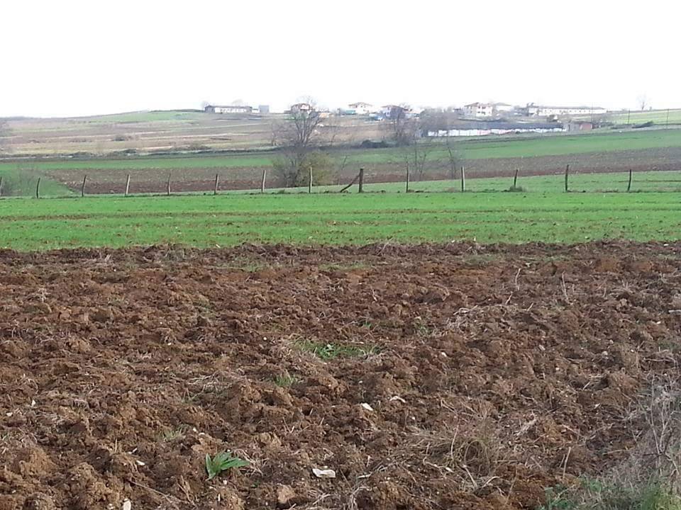 Kaynarca İmamlar Köyü Resimleri 3