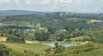 Kaynarca İmamlar Köyü Resimleri 5