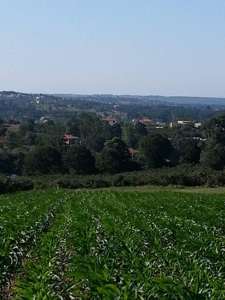 Kaynarca İmamlar Köyü Resimleri 6