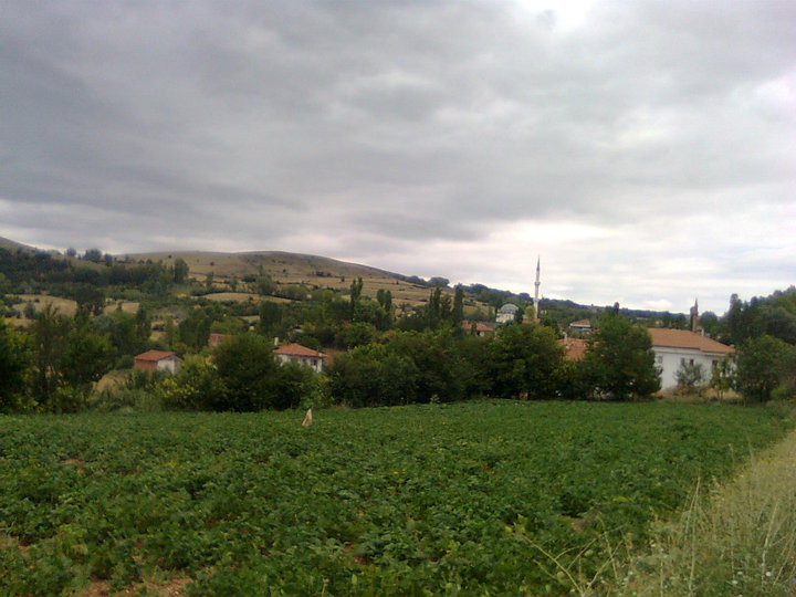 Zile Belkaya Köyü Resimleri 10