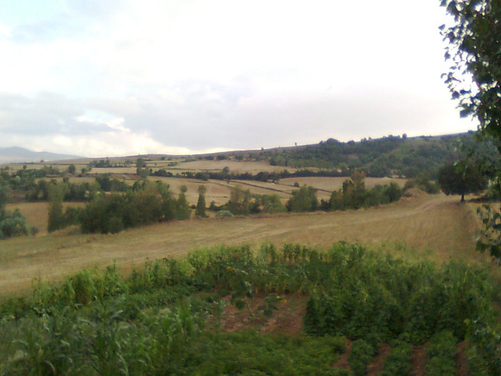 Zile Belkaya Köyü Resimleri 8