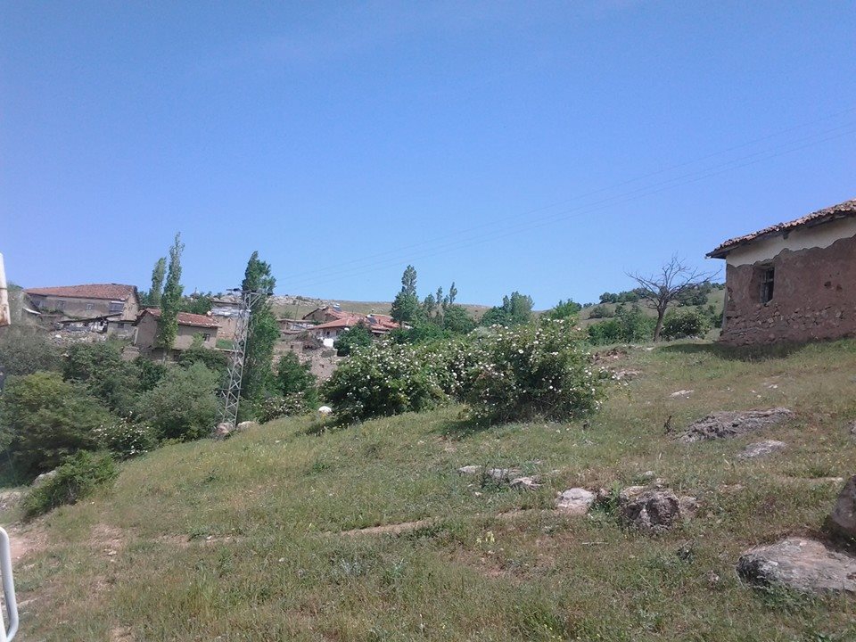 Zile Belpınar Köyü Resimleri 4