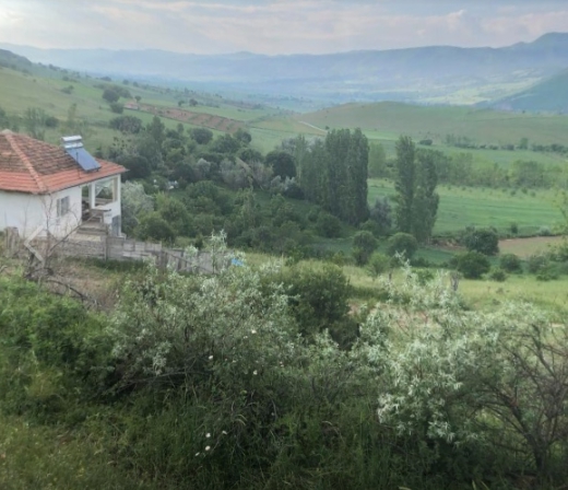 Zile Belpınar Köyü Resimleri 3