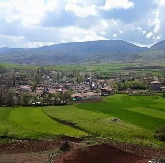 Zile Boldacı Köyü Resimleri 1