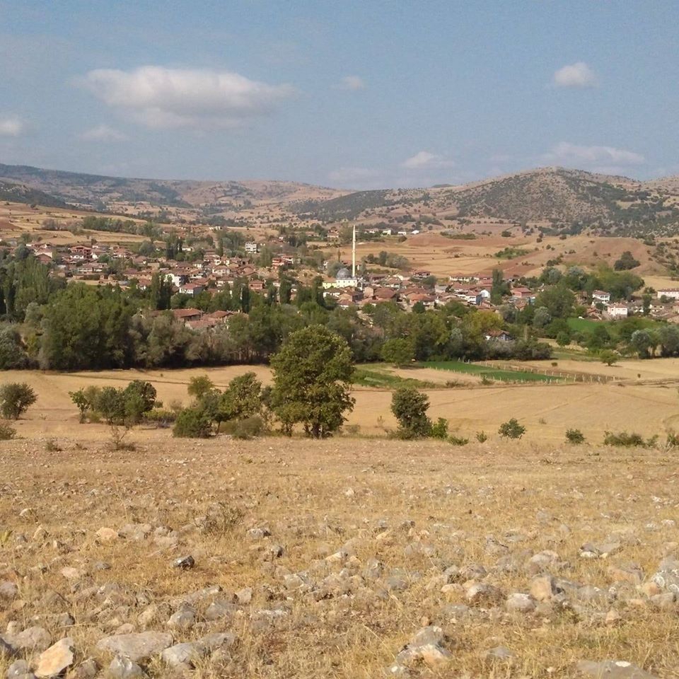 Zile Boldacı Köyü Resimleri 2