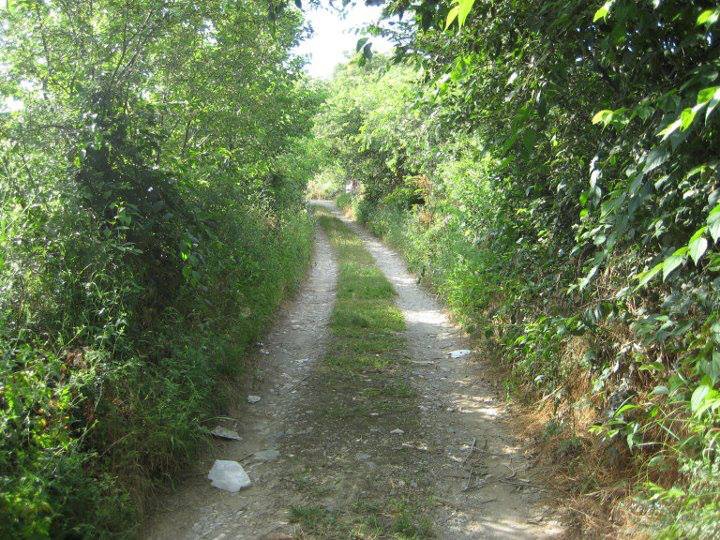 Zile Boldacı Köyü Resimleri 3