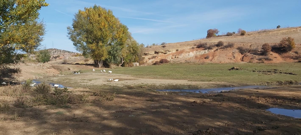 Zile Boldacı Köyü Resimleri 5