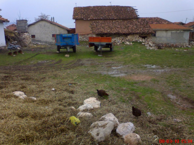 Zile Büyükkarayün Köyü Resimleri 7