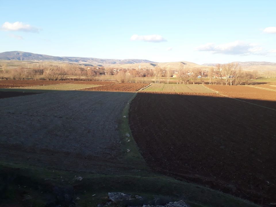 Zile Büyüközlü Köyü Resimleri 4