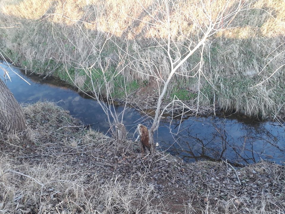 Zile Büyüközlü Köyü Resimleri 7