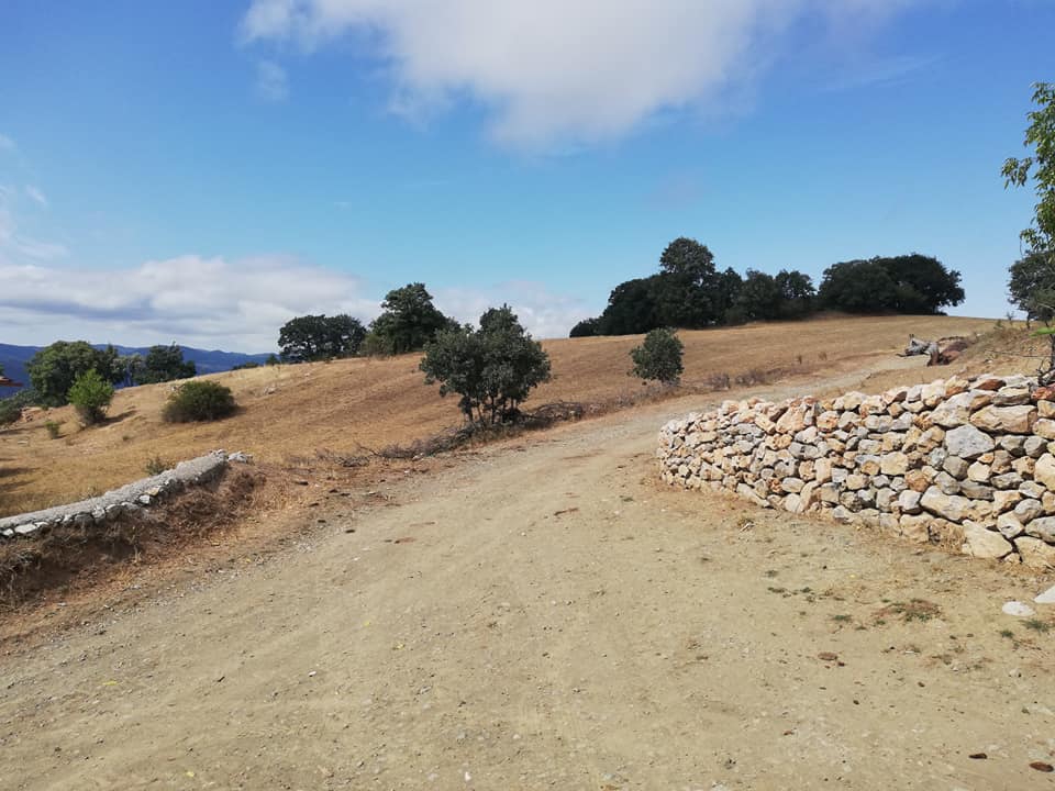 Zile Çakırçalı Köyü Resimleri 7