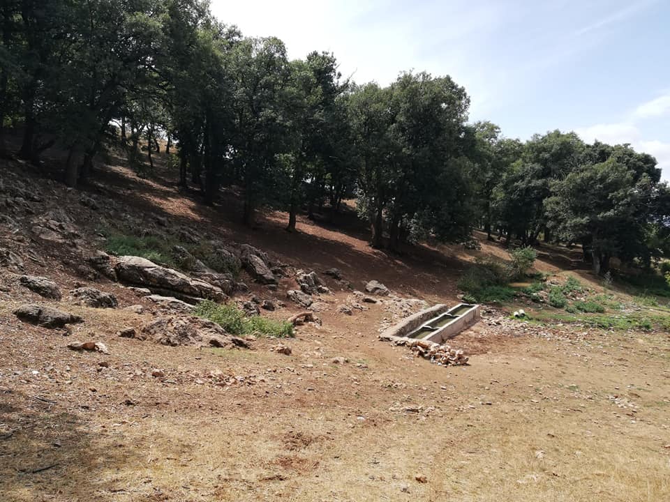 Zile Çakırçalı Köyü Resimleri 8