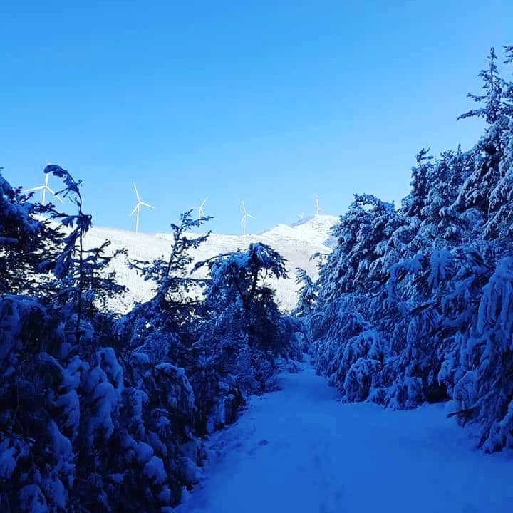 Bahçe Gökmustafalı Köyü Resimleri 3