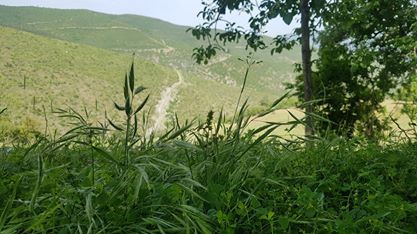 Bahçe Savranlı Köyü  Resimleri 3