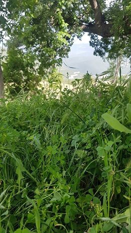 Bahçe Savranlı Köyü  Resimleri 4