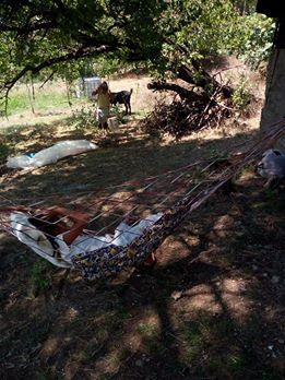 Bahçe Savranlı Köyü  Resimleri 5