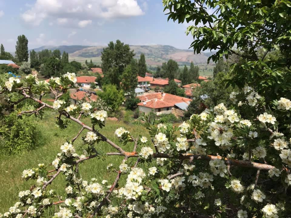 Zile Çamdere Köyü Resimleri 7