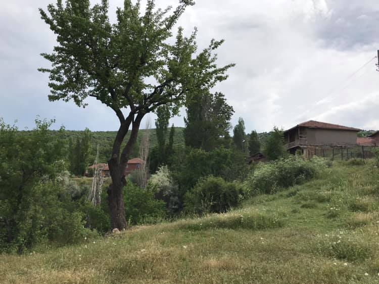 Zile Çamdere Köyü Resimleri 8