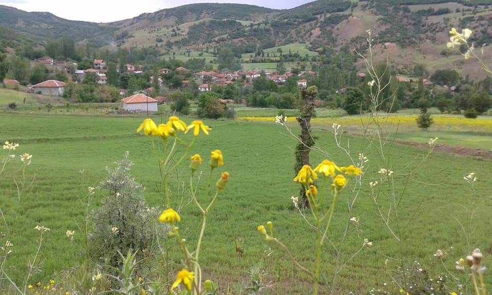 Zile Çapak Köyü Resimleri 1