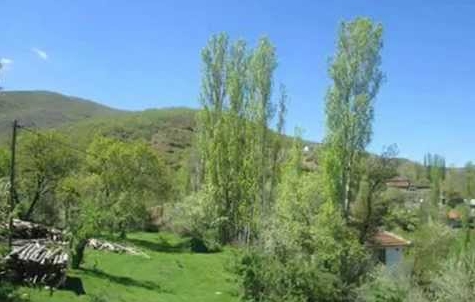 Zile Çapak Köyü Resimleri 4