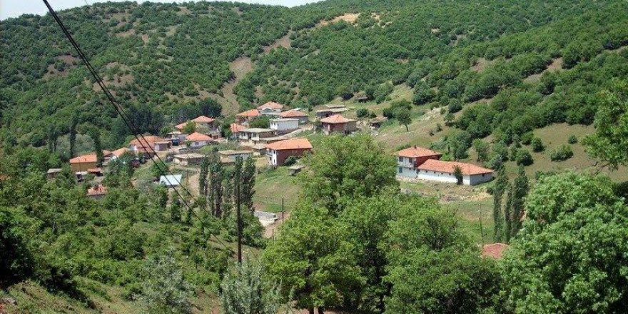 Zile Çayıroluğu Köyü Resimleri