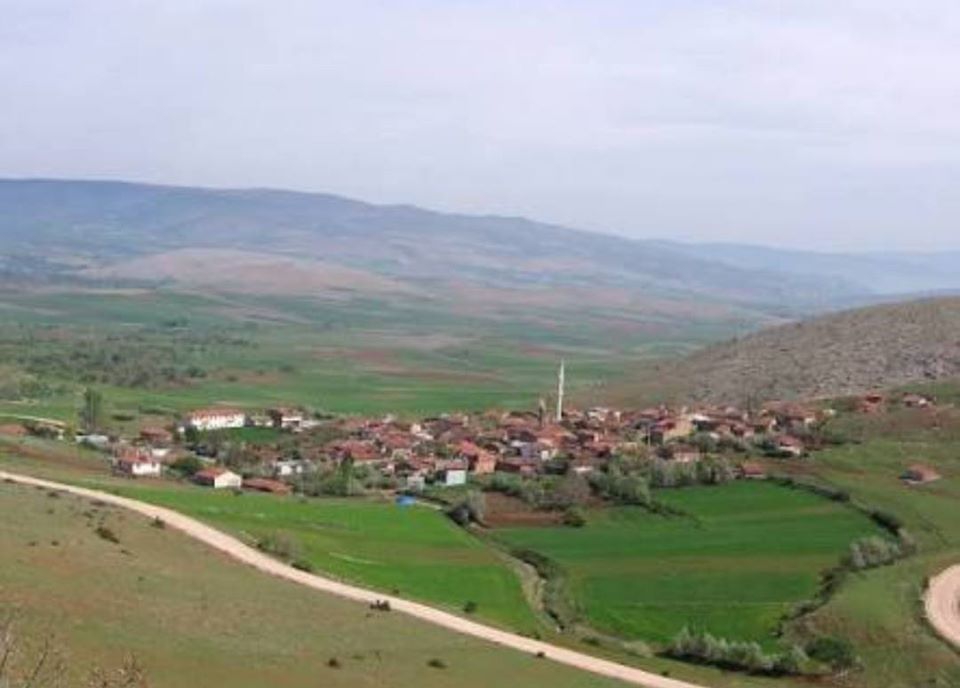 Zile Çiçekpınarı Köyü Resimleri 1