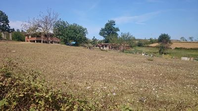 Kaynarca Karaçalı Köyü Resimleri 1