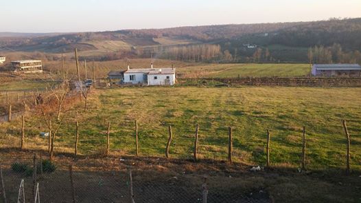 Kaynarca Karaçalı Köyü Resimleri 5