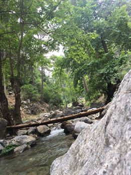 Düziçi Çatak Köyü Resimleri 2