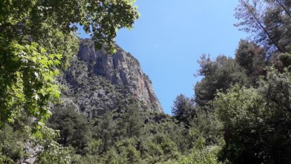 Düziçi Çatak Köyü Resimleri 4