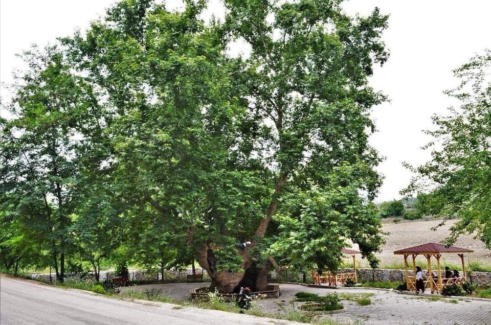 Düziçi Elbeyli Köyü Resimleri 2