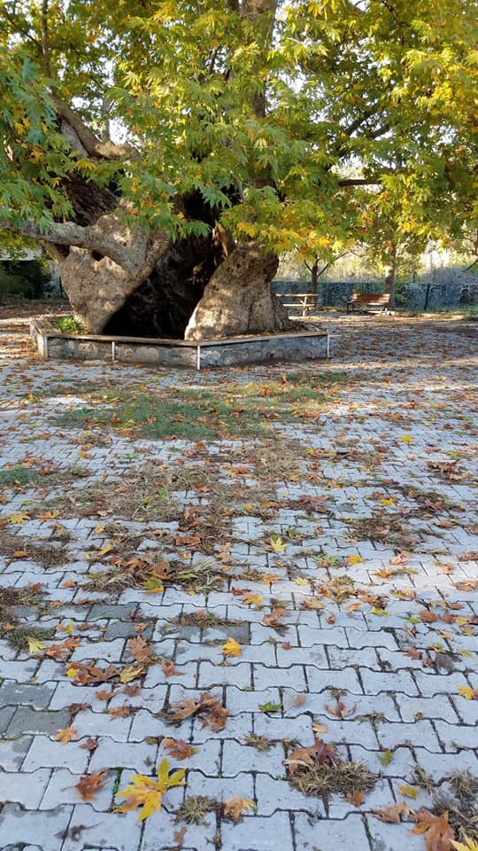 Düziçi Elbeyli Köyü Resimleri 3